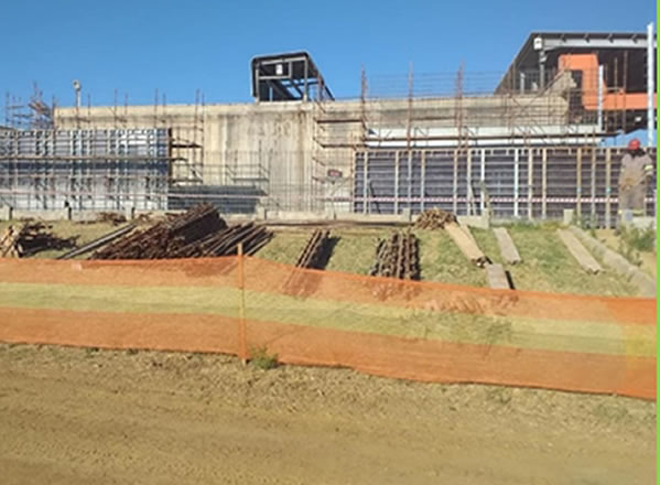 Dennie's Mushrooms, Timsrand